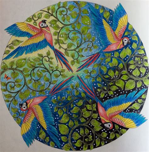 The Unexpected Benefits of Coloring: Lessons Learned from Johanna Basford's Magical Jungle